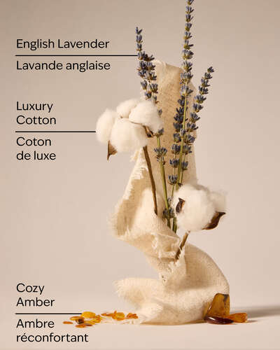 Luxe Cotton Single Wick Candle