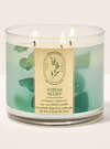 Eucalyptus Spearmint 3-Wick Candle