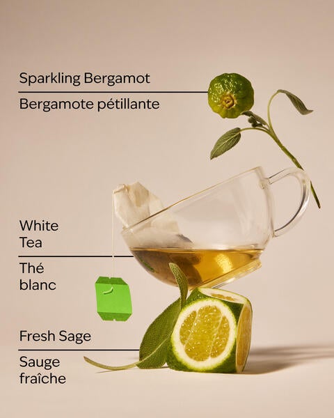 White Tea & Sage Wallflowers Fragrance Refill