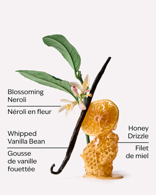 Whipped Honey & Vanilla Body Lotion
