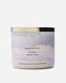 Crushed Candy Cane 3-Wick Candle