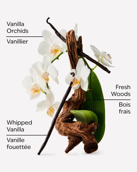 Orchid Effect Mini Eau De Parfum Rollerball