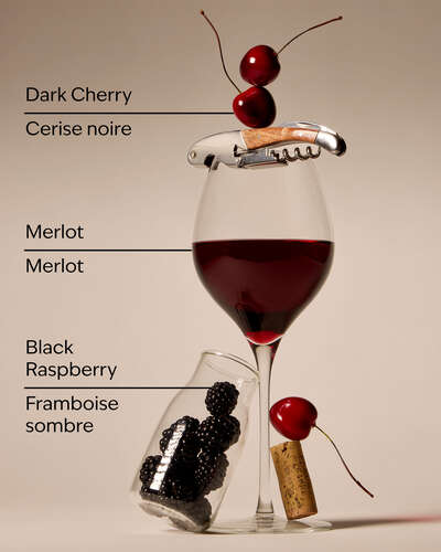 Black Cherry Merlot Gentle & Clean Foaming Hand Soap