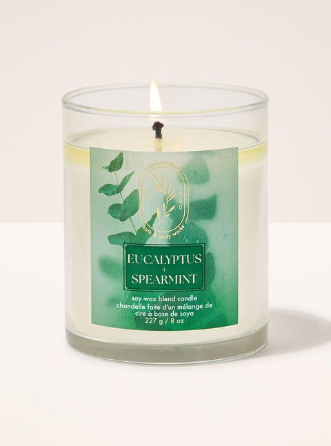 Chandelle à une mèche Eucalyptus Spearmint