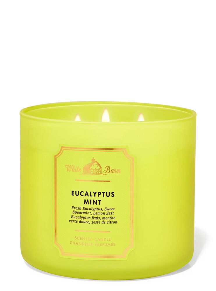 Eucalyptus Mint 3-Wick Candle