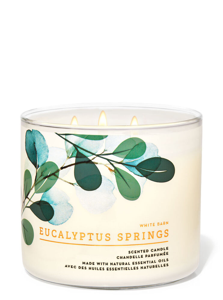 Eucalyptus Springs 3-Wick Candle