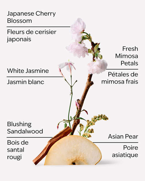 Japanese Cherry Blossom Mini Eau de Parfum