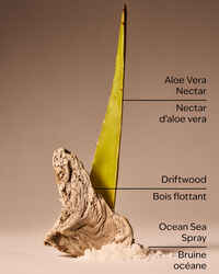 Sea Salt & Sails 3-Wick Candle
