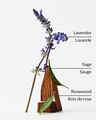Chandelle à 4 mèches Lavender + Jasmine
