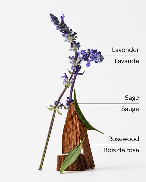 Chandelle à 4 mèches Lavender + Jasmine