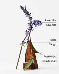 Lavender + Jasmine 4-Wick Candle