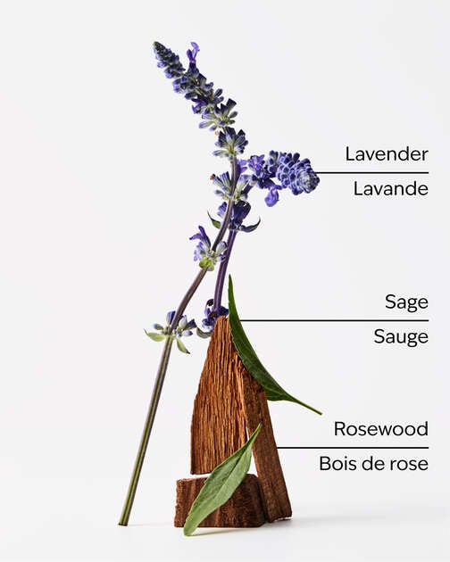 Lavender + Jasmine 4-Wick Candle