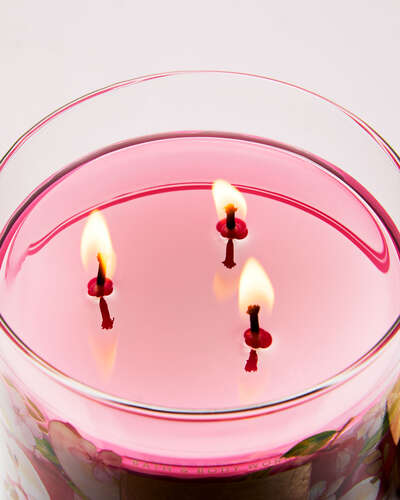 Pink Apple Punch 3-Wick Candle