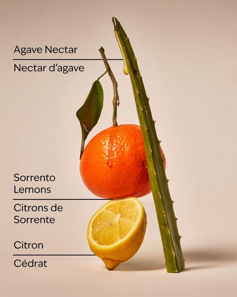 Savon revitalisant en gel pour les mains Sun-Washed Citrus