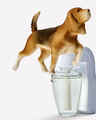 Diffuseur de fragrance Wallflowers Chien