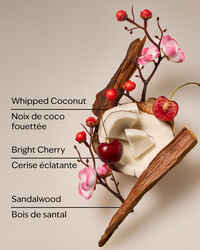 Tropical Cherry Wallflowers Fragrance Refill