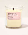 Raspberries & Whipped Vanilla Single Wick Candle