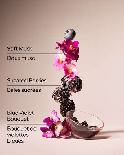 Violets Are Blue 3-Wick Candle