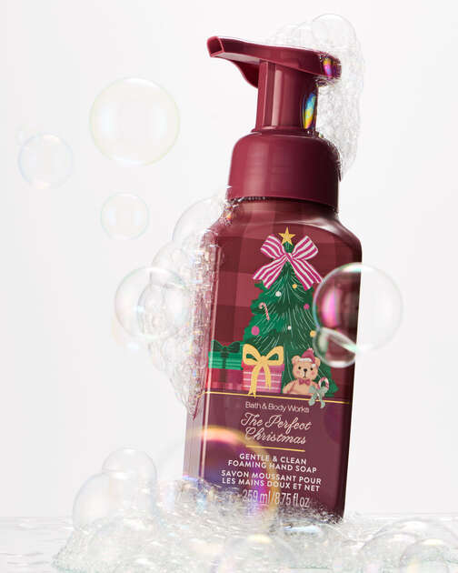 The Perfect Christmas Gentle & Clean Foaming Hand Soap