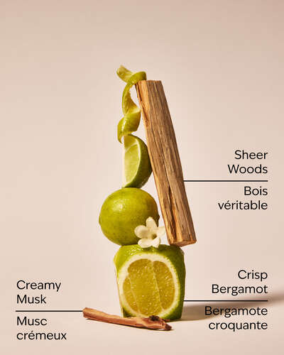 Fresh Musk Fine Fragrance Mist