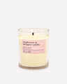 Chandelle à une mèche Raspberries & Whipped Vanilla