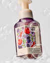 Pomegranate & Blackberry Gentle & Clean Foaming Hand Soap