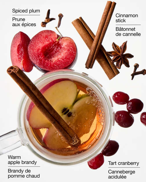 Spiced Apple Toddy Wallflowers Fragrance Refill