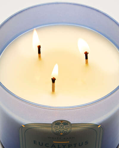 Eucalyptus Rain 3-Wick Candle