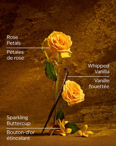 Fine bruine parfumée Belle