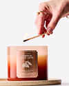 Pumpkin Spice Latte 3-Wick Candle