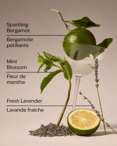 Clean House Vibes Wallflowers Fragrance Refill