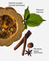 Farmhouse Pumpkin & Spice Gentle & Clean Foaming Hand Soap