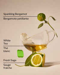 White Tea & Sage Single Wick Candle