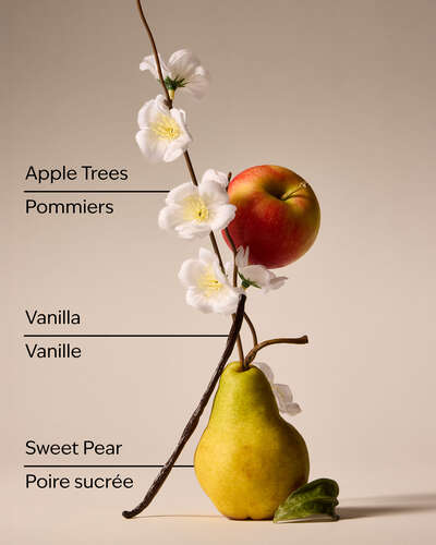Spring Apple 3-Wick Candle