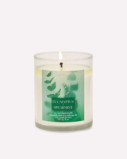Eucalyptus Spearmint Single Wick Candle