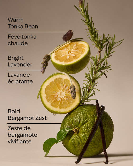 Lavender Bergamot 3-Wick Candle