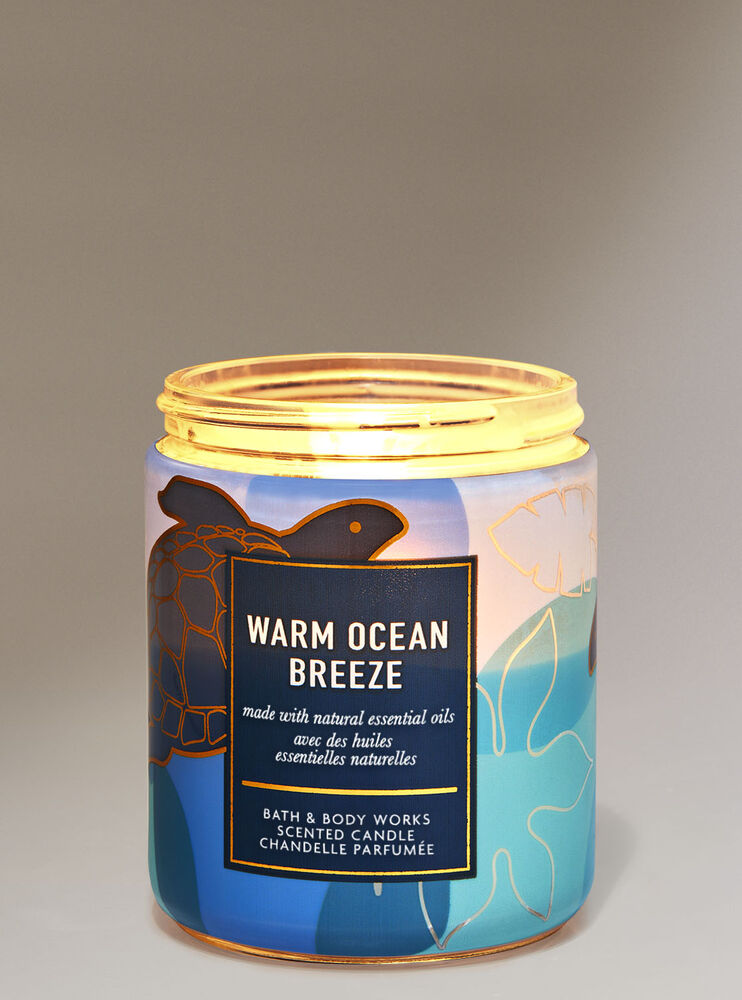 Warm Ocean Breeze Single Wick Candle Image 1