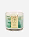 Eucalyptus Spearmint 3-Wick Candle