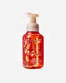 Pumpkin Apple Gentle & Clean Foaming Hand Soap