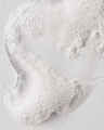 White Pumpkin & Chai Body Wash