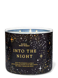 Into the Night 3-Wick Candle
