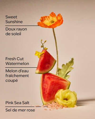 Fresh Watermelon Gentle & Clean Foaming Hand Soap