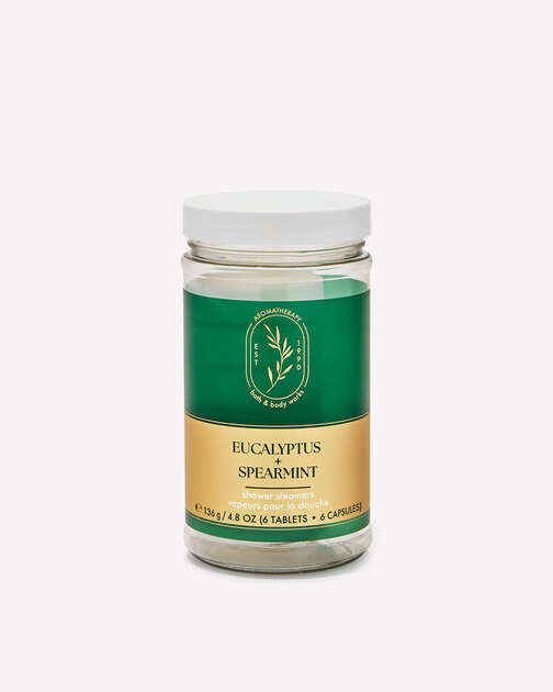 Eucalyptus Spearmint Shower Steamers