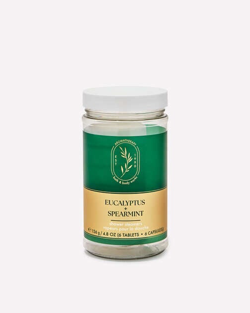 Eucalyptus Spearmint Shower Steamers