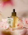 Recharge de fragrance Wallflowers Japanese Cherry Blossom