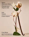 Cat Nap Wallflowers Fragrance Refill