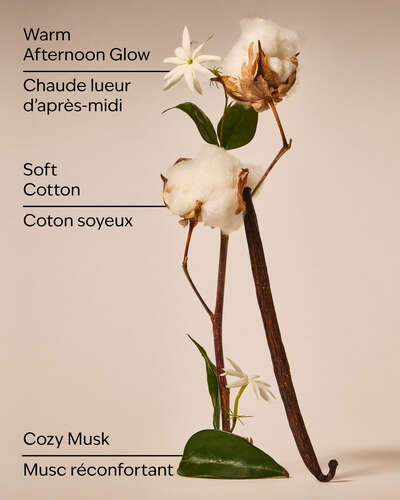 Cat Nap Wallflowers Fragrance Refill