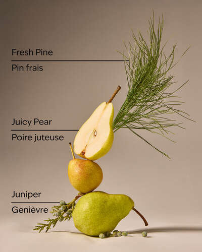 Crisp Morning Air Gentle & Clean Foaming Hand Soap