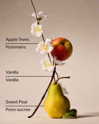 Spring Apple Car Fragrance Refill