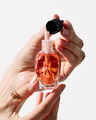 Recharge de fragrance Wallflowers Pumpkin Carving